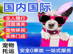 五台山机场空运国际宠物托运 【国